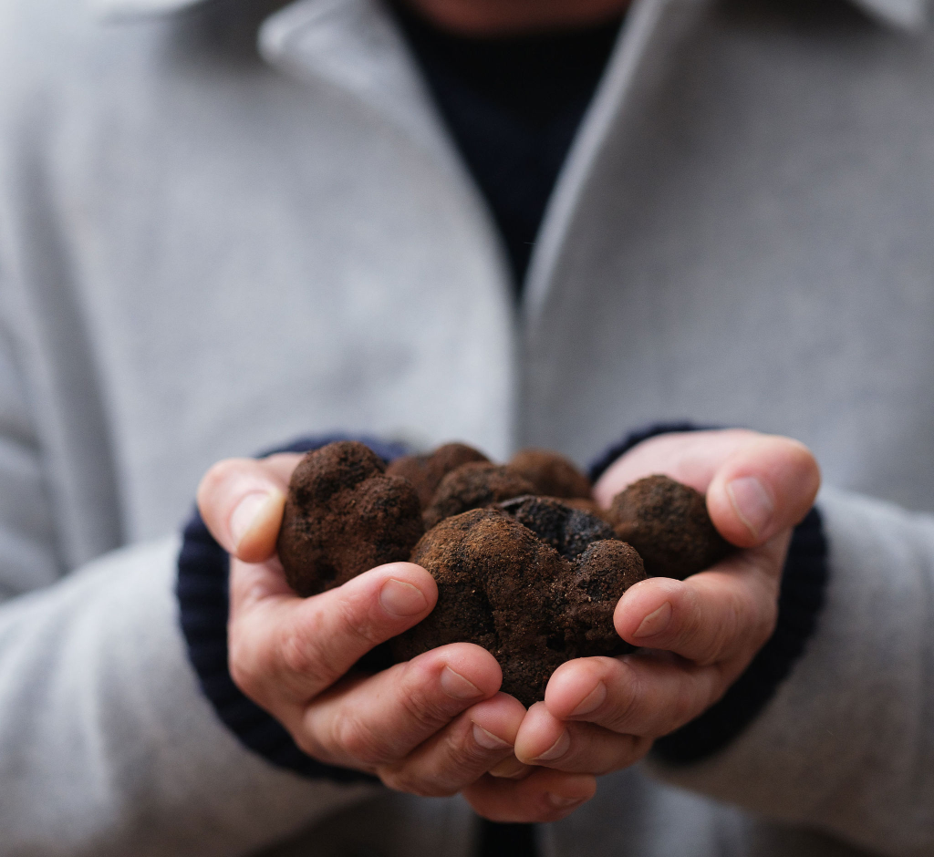 Australian Black Truffles